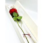 Red Rose in Box