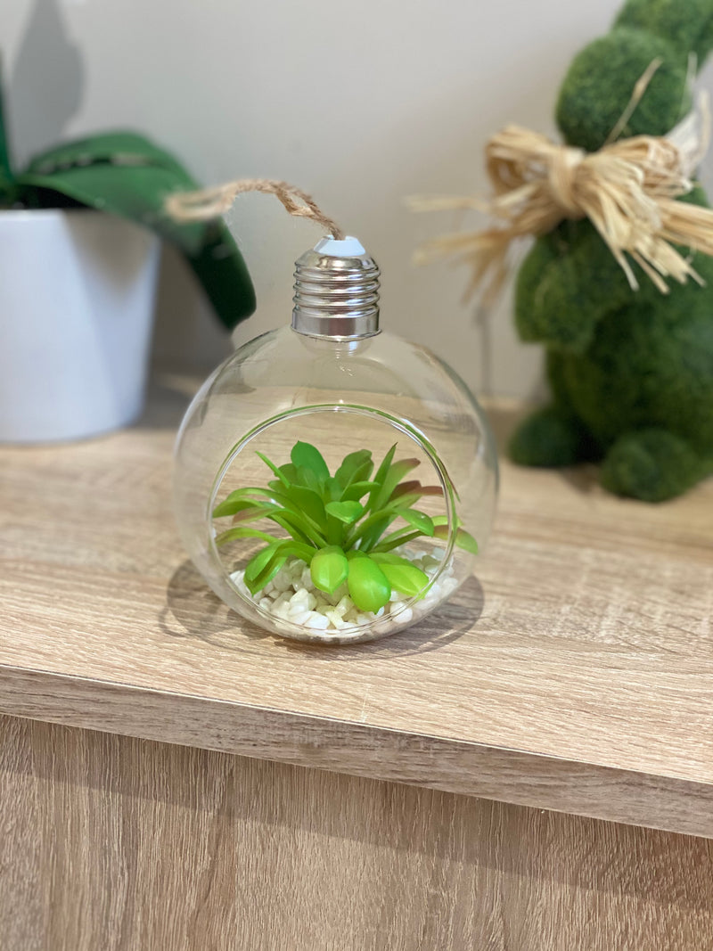 Glass Bulb Succulent