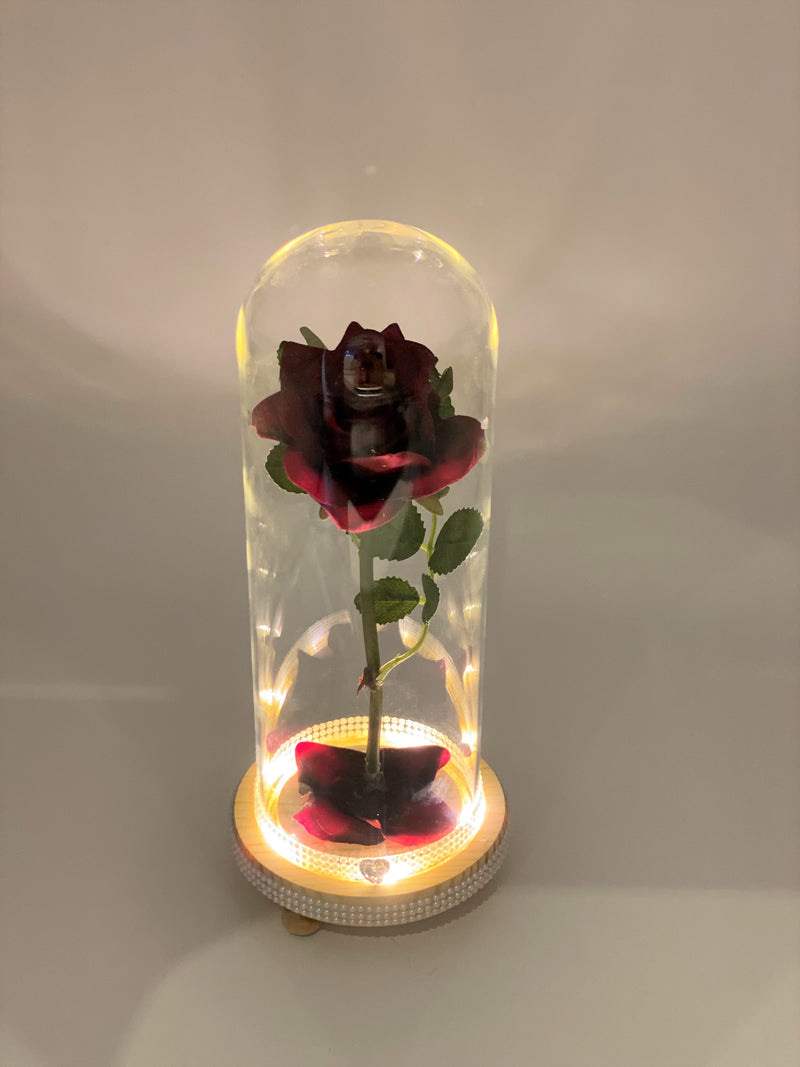 Red Rose in Illuminated Glass