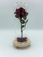 Red Rose in Illuminated Glass