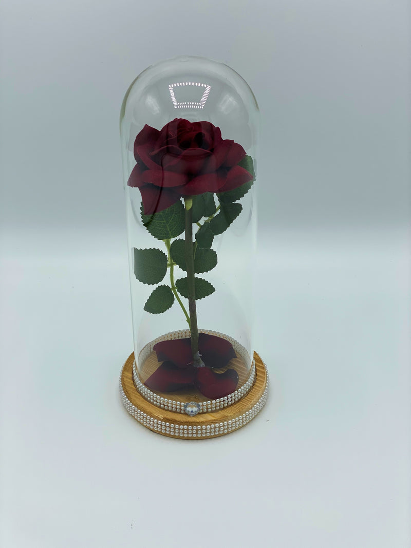 Red Rose in Glass