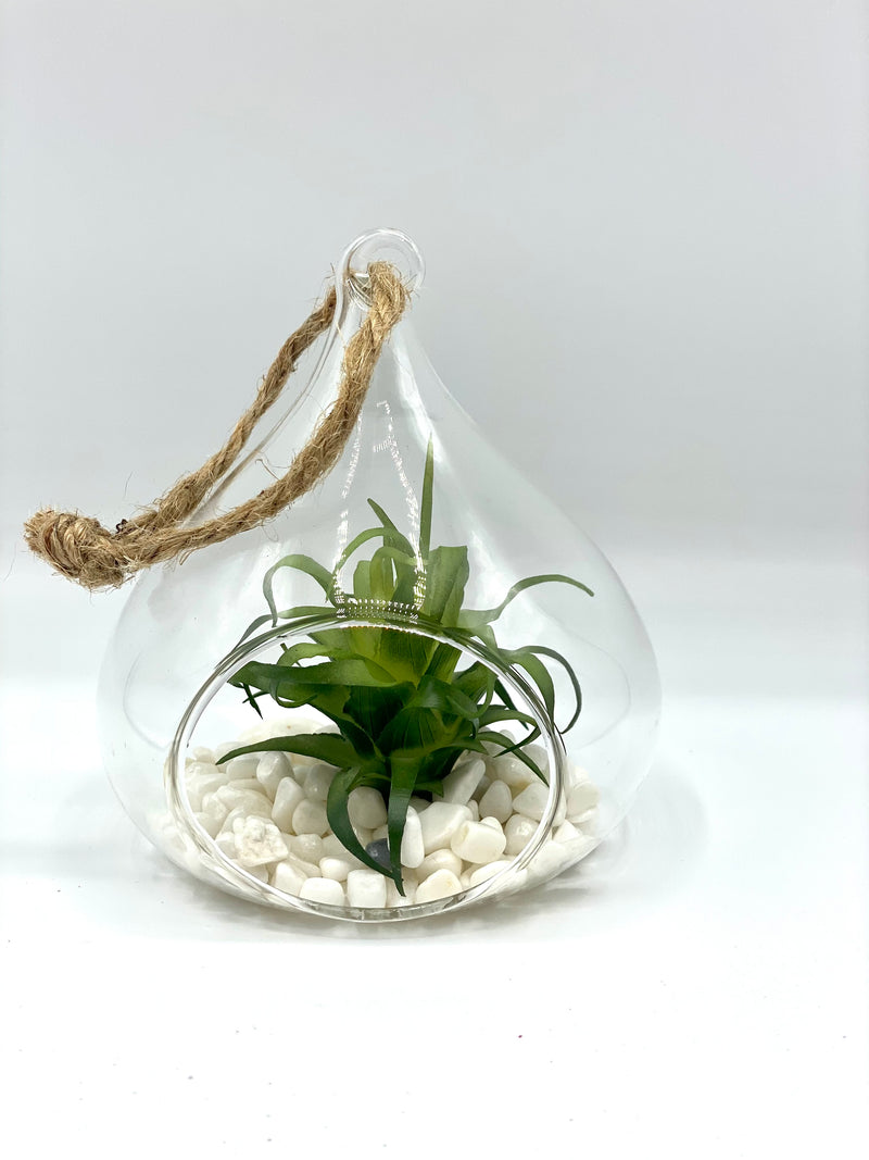Glass Teardrop Succulent